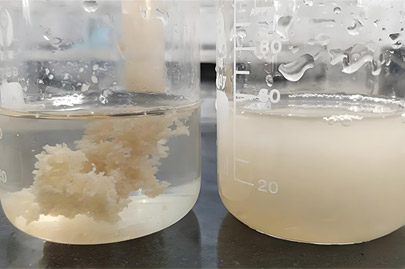 聚丙烯酰胺在酒廠廢水處理中的選型和效果